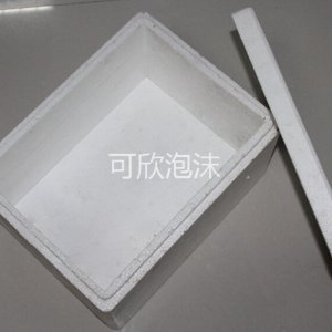 成型泡沫包裝