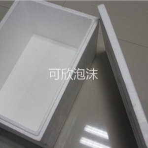 成型泡沫包裝