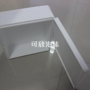 成型泡沫包裝