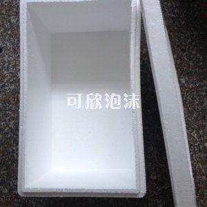 成型泡沫包裝