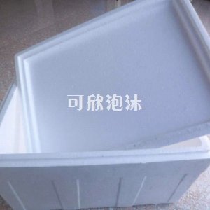 成型泡沫包裝