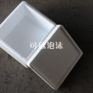 成型泡沫包裝